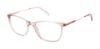 Picture of Alexander Collection Eyeglasses Finley