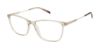 Picture of Alexander Collection Eyeglasses Finley