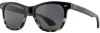 Picture of American Optical Sunglasses Saratoga