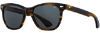 Picture of American Optical Sunglasses Saratoga