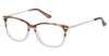Picture of Ann Taylor Eyeglasses AT339