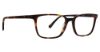 Picture of Argyleculture Eyeglasses Clay