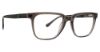 Picture of Argyleculture Eyeglasses Hillman