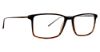 Picture of Argyleculture Eyeglasses Ardyn