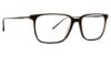 Picture of Argyleculture Eyeglasses Bridger