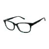 Picture of Aristar Eyeglasses 18441