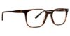 Picture of Badgley Mischka Eyeglasses BM Gabe