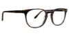 Picture of Badgley Mischka Eyeglasses BM Evan