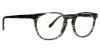 Picture of Badgley Mischka Eyeglasses BM Evan
