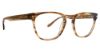 Picture of Badgley Mischka Eyeglasses BM Zach