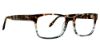 Picture of Badgley Mischka Eyeglasses Bm Kaleb