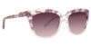 Picture of Badgley Mischka Sunglasses Chantae