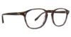 Picture of Badgley Mischka Eyeglasses Matteo