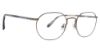 Picture of Badgley Mischka Eyeglasses Leon