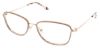 Picture of Bcbgmaxazria Eyeglasses EMLYN