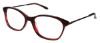 Picture of Bcbgmaxazria Eyeglasses NICOLETTE