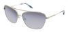Picture of Bcbgmaxazria Sunglasses ATTRACT