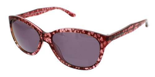 Picture of Bcbgmaxazria Sunglasses PRECIOUS