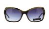 Picture of Bcbgmaxazria Sunglasses IMPRESS