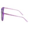 Picture of Bebe Sunglasses BB7253