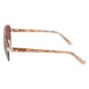 Picture of Bebe Sunglasses BB7252