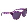 Picture of Bebe Sunglasses BB7251