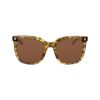 Picture of Bebe Sunglasses BB7255