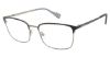 Picture of Ben Sherman Eyeglasses NORTON