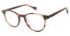 Picture of Ben Sherman Eyeglasses YORK