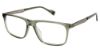 Picture of Ben Sherman Eyeglasses PARK Ben Sherman