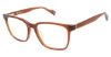 Picture of Ben Sherman Eyeglasses FINSBURY