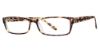 Picture of Big Mens Eyewear Club Eyeglasses BIG Abe