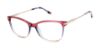 Picture of Buffalo David Bitton Eyeglasses BW038