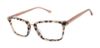 Picture of Buffalo David Bitton Eyeglasses BW040