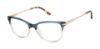 Picture of Buffalo David Bitton Eyeglasses BW038