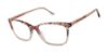 Picture of Buffalo David Bitton Eyeglasses BW036