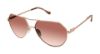 Picture of Buffalo David Bitton Sunglasses BWS008