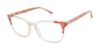 Picture of Buffalo David Bitton Eyeglasses BW026