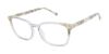 Picture of Buffalo David Bitton Eyeglasses BW026