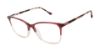Picture of Buffalo David Bitton Eyeglasses BW025