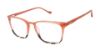 Picture of Buffalo David Bitton Eyeglasses BW023