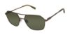 Picture of Buffalo David Bitton Sunglasses BMS008