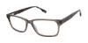 Picture of Buffalo David Bitton Eyeglasses BM004