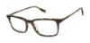 Picture of Buffalo David Bitton Eyeglasses BM003