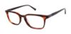 Picture of Buffalo David Bitton Eyeglasses BM002