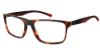 Picture of Callaway Eyeglasses SUNNINGDALE
