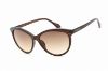 Picture of Calvin Klein Sunglasses CK19534S