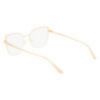 Picture of Calvin Klein Eyeglasses CK22101