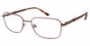 Picture of Caravaggio Eyeglasses 432 C