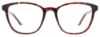 Picture of Cargo Eyeglasses C5053